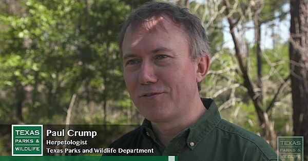 Friend Of The Toads: Paul Crump