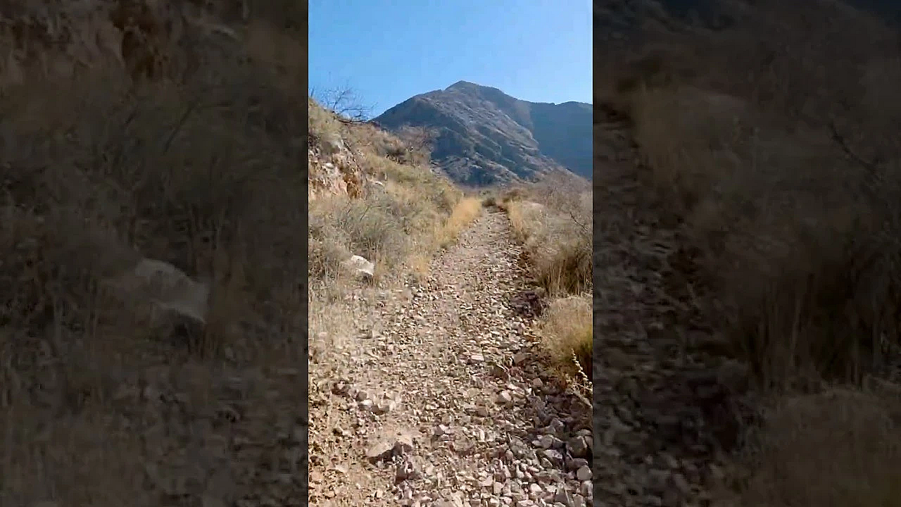 First Day Hikes #shorts