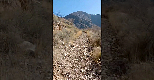 First Day Hikes #shorts