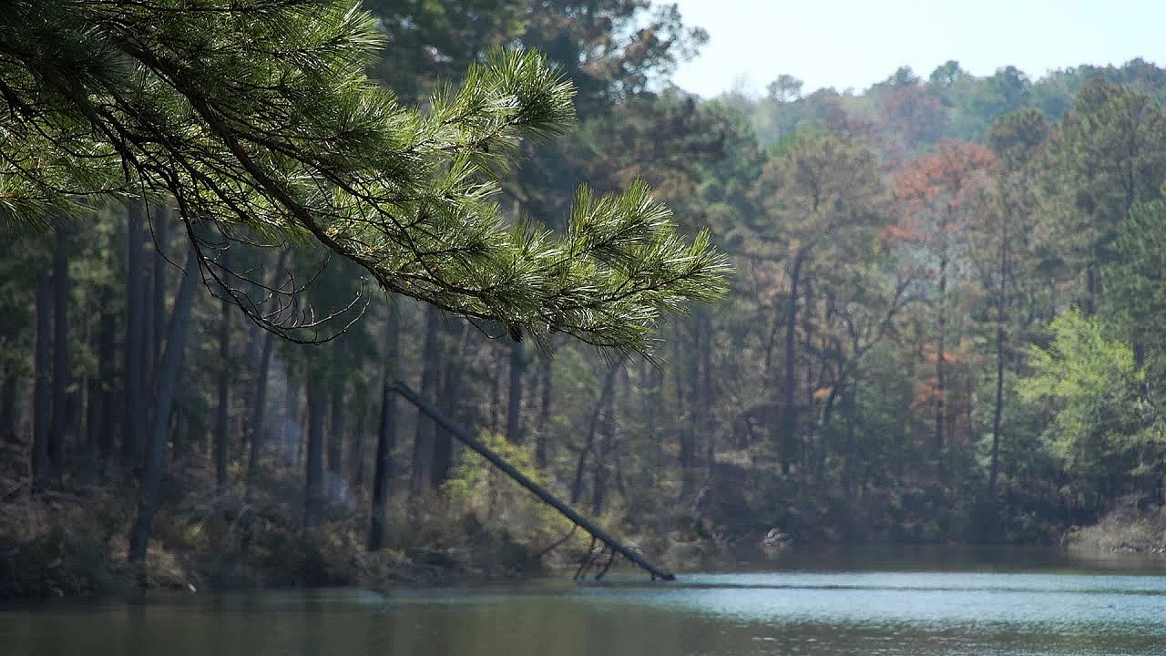 2021 Lone Star Land Steward: Brushy Creek Co-op