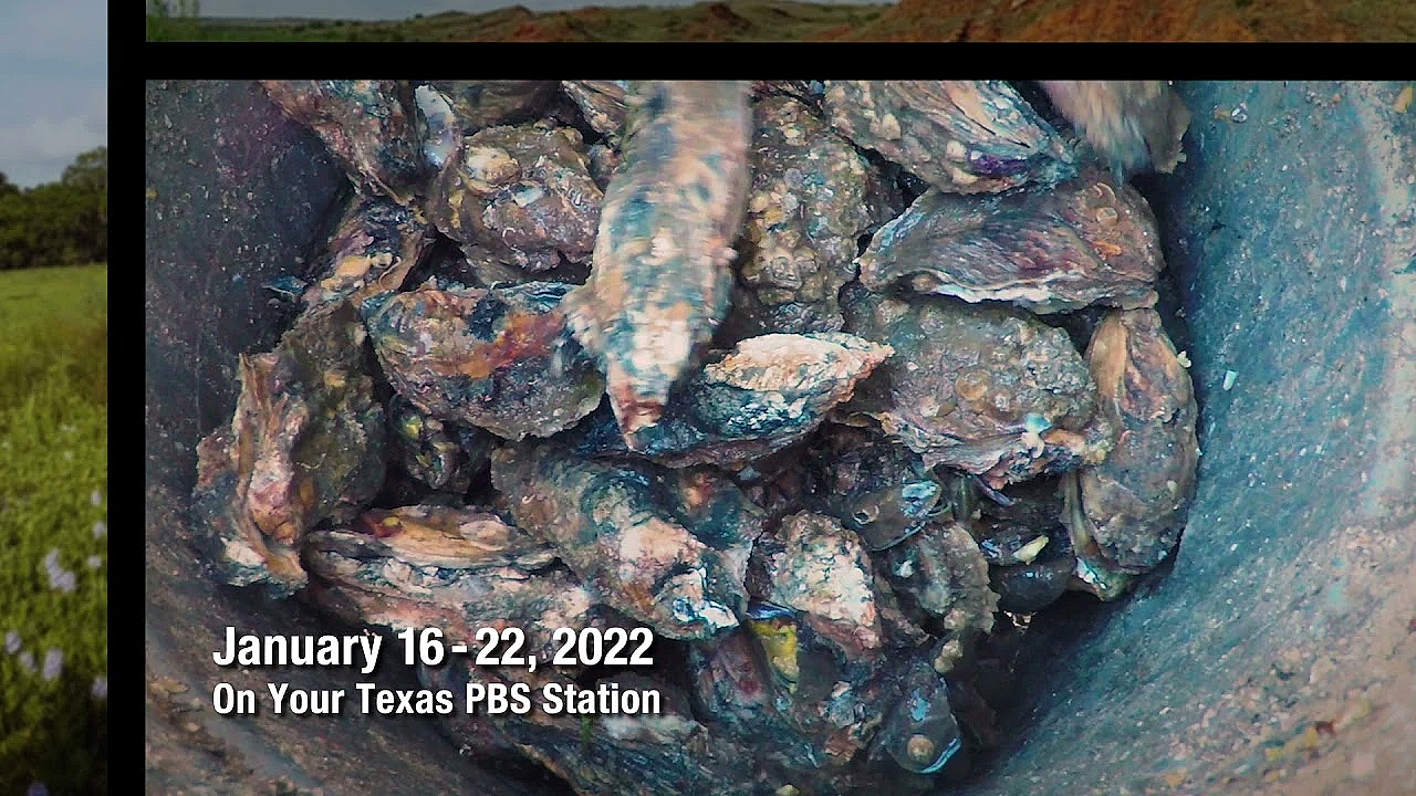 Pbs Preview - Bikepacking Journey, Oyster Farming Fan, Conservation Art - #3015