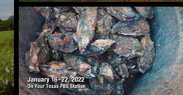 Pbs Preview - Bikepacking Journey, Oyster Farming Fan, Conservation Art - #3015