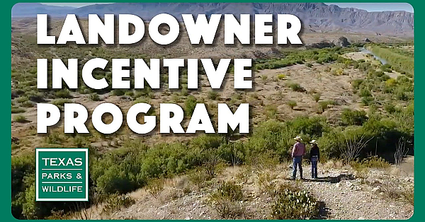 The Tpwd Landowner Incentive Program