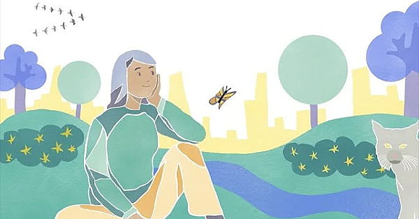 The Value Of Small Urban Green Spaces