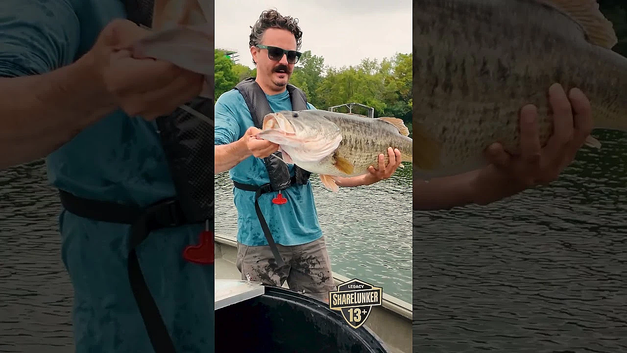 Bigger, Better, Stronger Bass #texasfishing