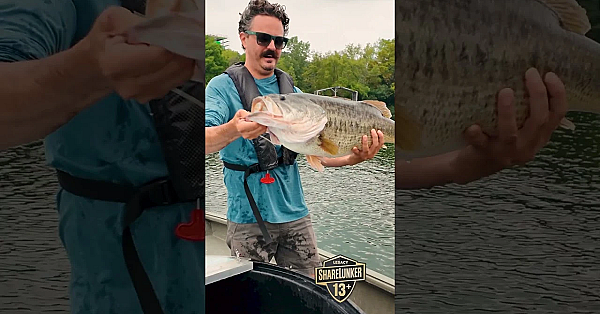 Bigger, Better, Stronger Bass #texasfishing