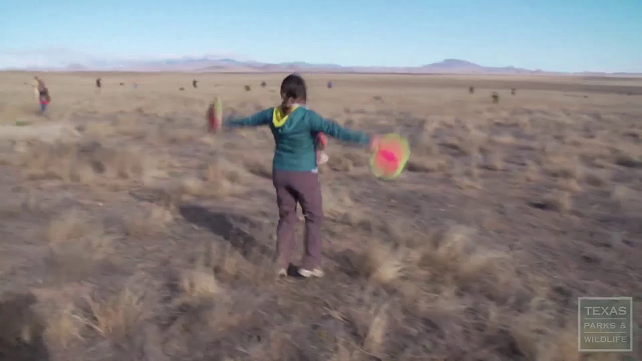 Texas Parks And Wildlife Live Stream