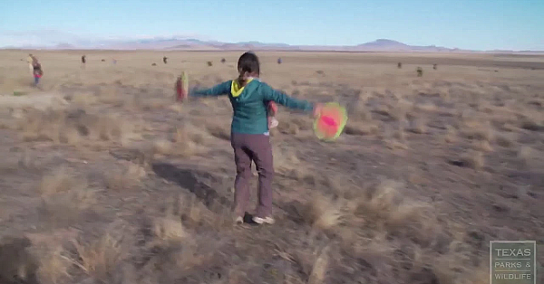 Texas Parks And Wildlife Live Stream