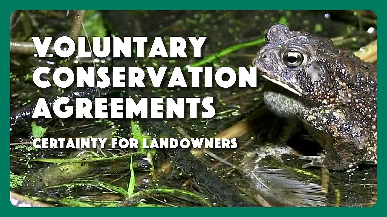 Voluntary Conservation Agreements - Certainty For Landowners