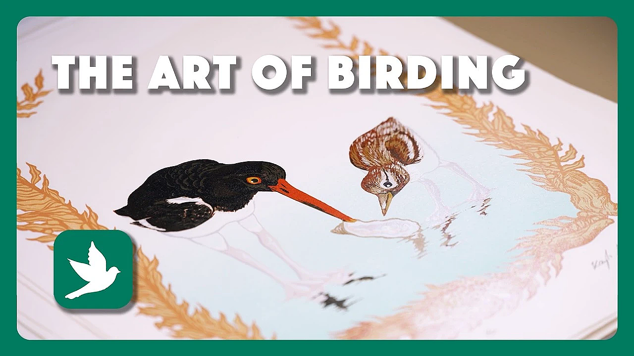Art Of Birding