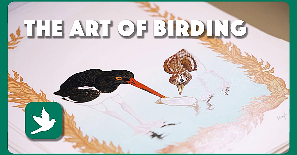 Art Of Birding
