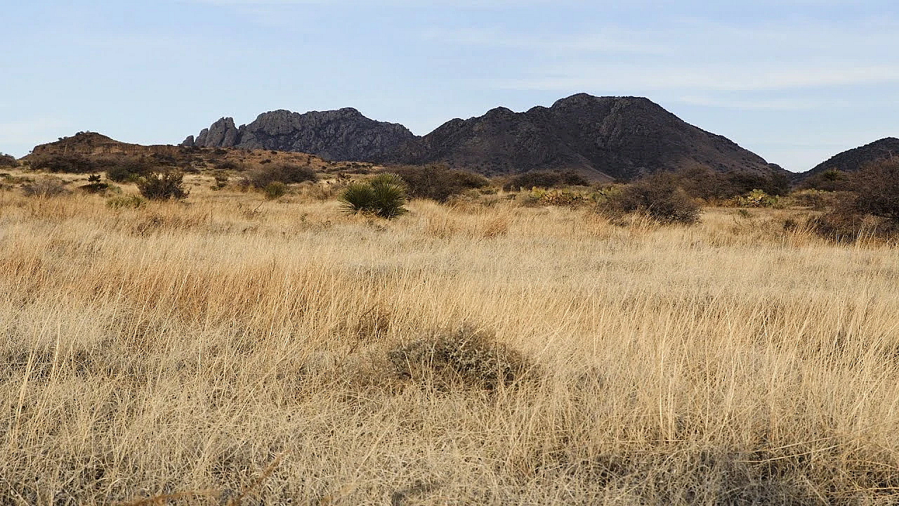 2021 Lone Star Land Steward: Moore Ranch