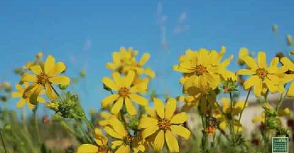 Scenes From San Angelo State Park - Postcard From Texas