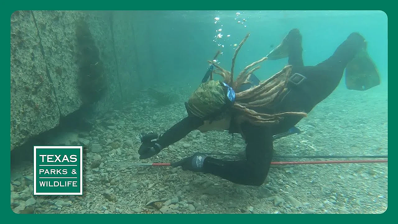 Pbs Preview - Armored Invasion, Lake Somerville &amp; Beneficial Wetland