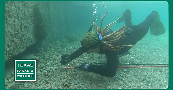 Pbs Preview - Armored Invasion, Lake Somerville &amp; Beneficial Wetland