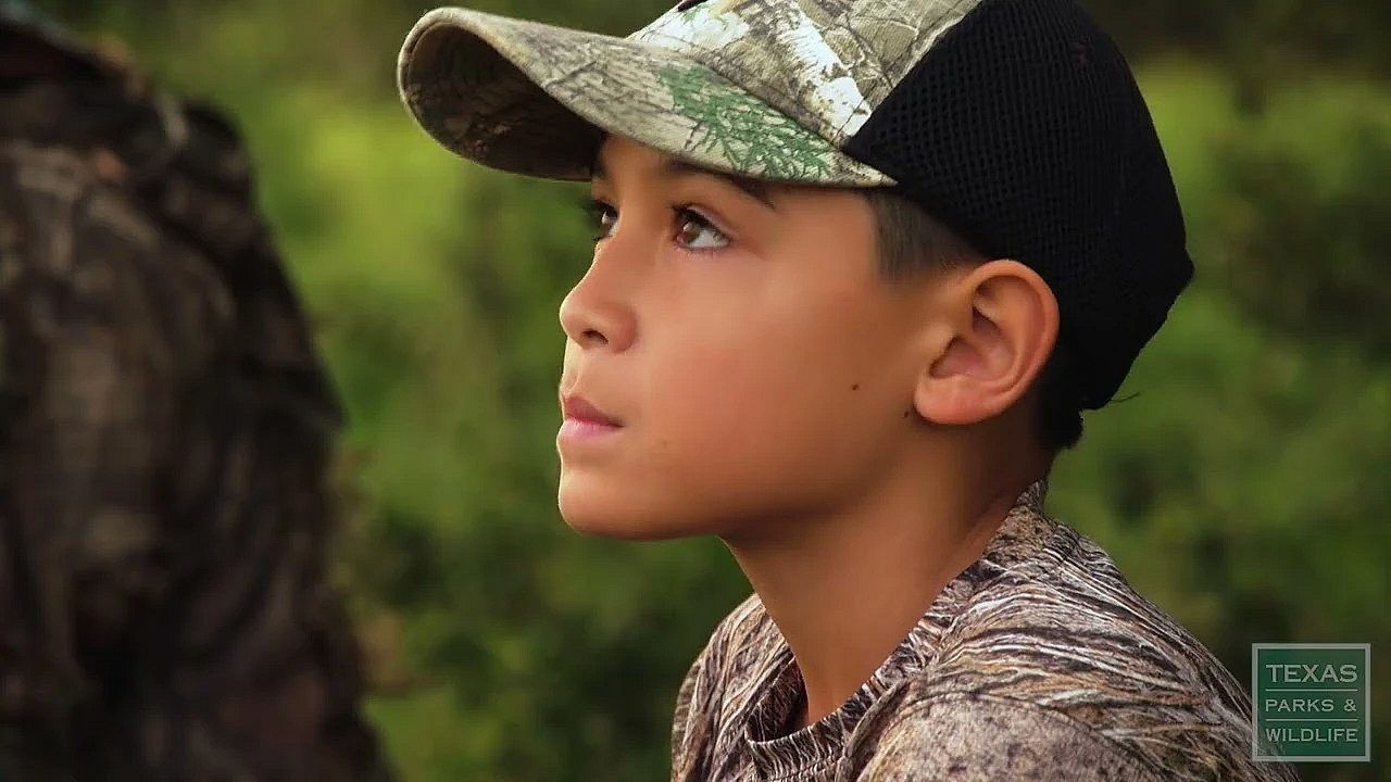 Pbs Show - Bears Go Home, Animals On Camera, Mountain Trail-builder - #3026