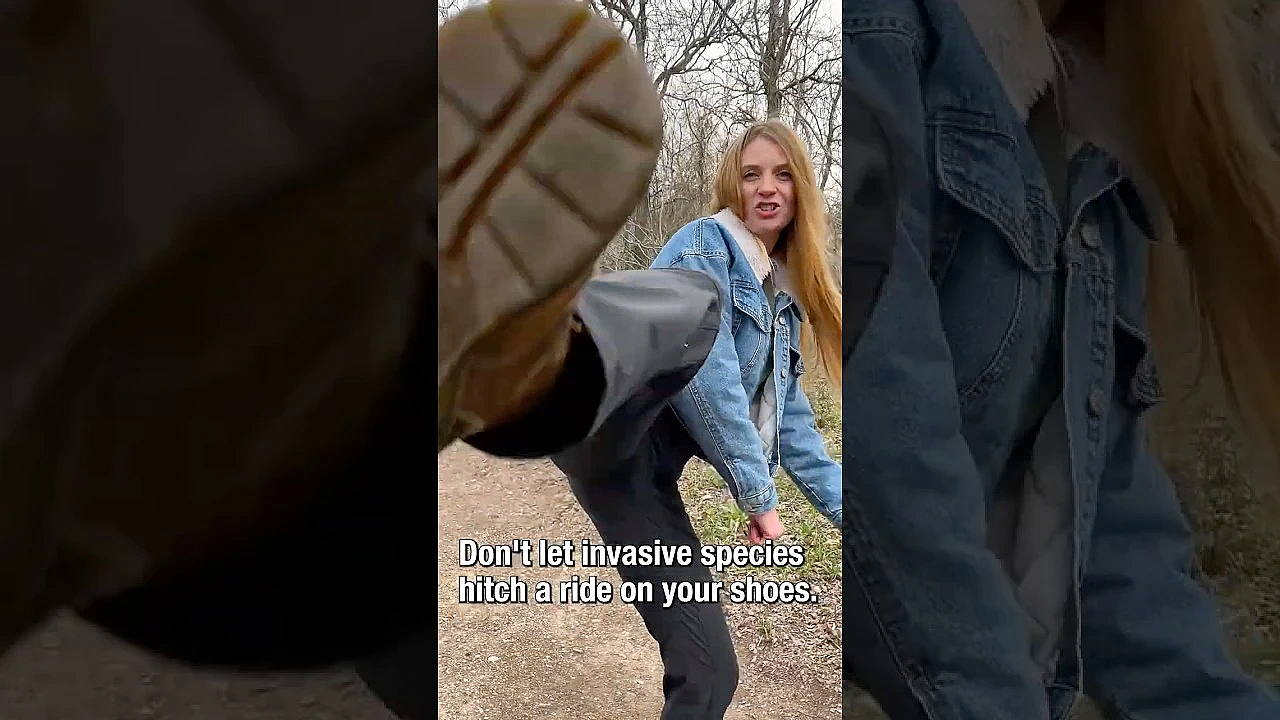 Do This To Stop Invasive Species! #invasivespecies