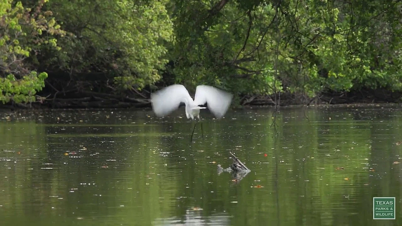 Postcard From Texas: Navasota River Ride
