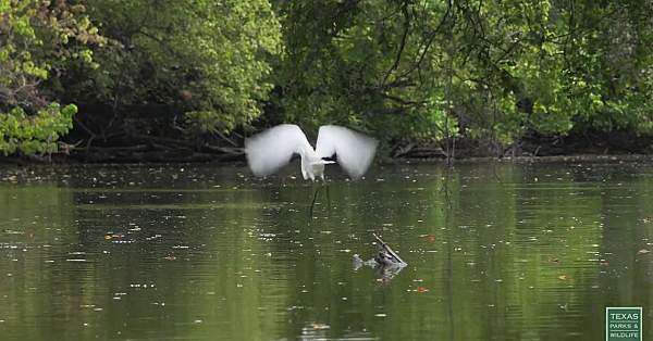 Postcard From Texas: Navasota River Ride