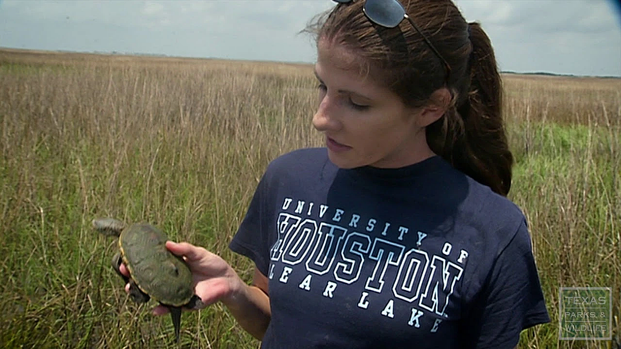 Rookery Island Erosion, A New North Deer - Texas Parks &amp; Wildlife [official]