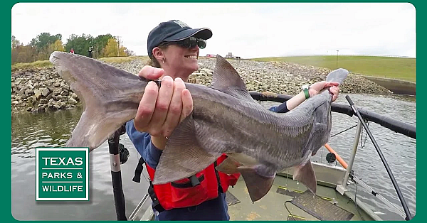 Pbs Trailer - Paddlefish, Field To Fork &amp; West Texas Steward