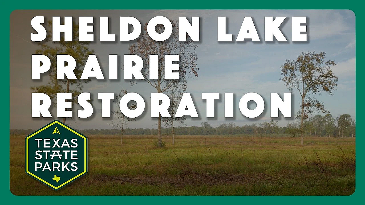 Sheldon Lake Prairie Restoration
