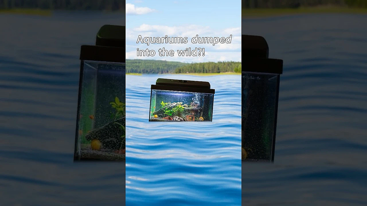 That Ain't Right! #invasivespeciesweek