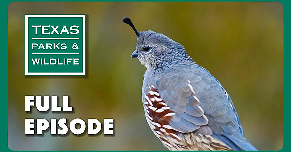 Pbs Show - Franklin Mountains, Water Wardens &amp; Clymer Meadow