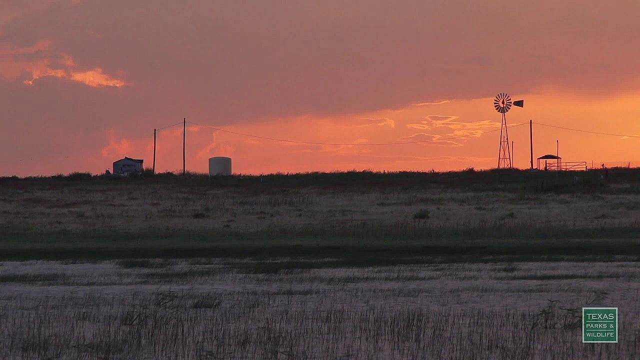 South Plains Playa Lakes - Postcard From Texas