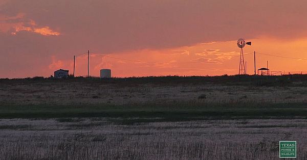 South Plains Playa Lakes - Postcard From Texas