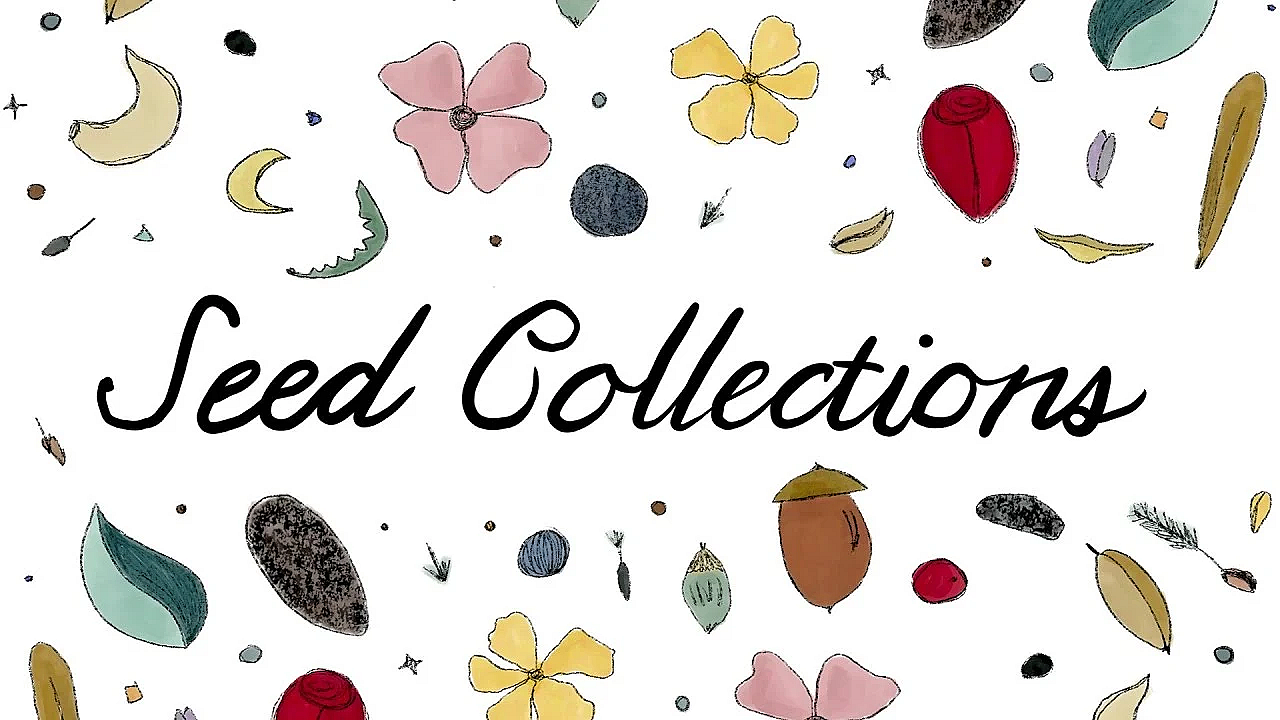 Seed Collections For Conservation
