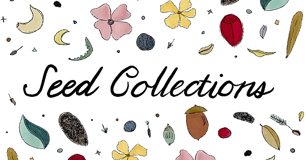 Seed Collections For Conservation