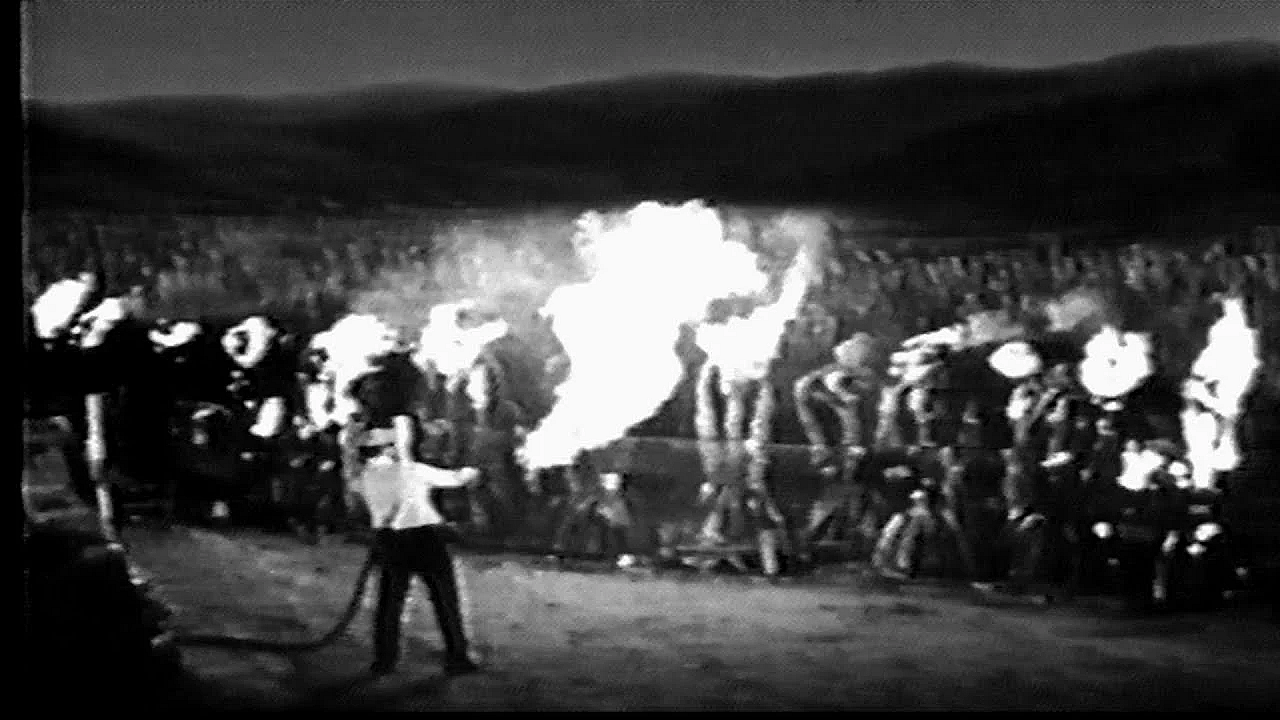 When Plants Attack - Texas Parks &amp; Wildlife [official]