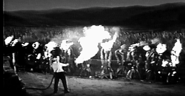 When Plants Attack - Texas Parks &amp; Wildlife [official]