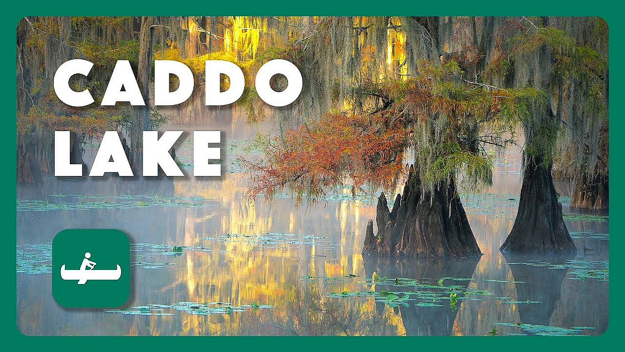 Caddo Lake - Postcard From Texas