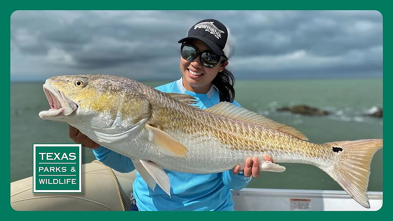 Pbs Trailer - Fishing Tradition, Sky Island &amp; Park Provider