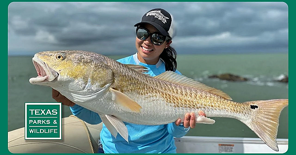 Pbs Trailer - Fishing Tradition, Sky Island &amp; Park Provider