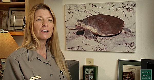 To Save The Kemps Ridley Sea Turtle - Texas Parks &amp; Wildlife [official]