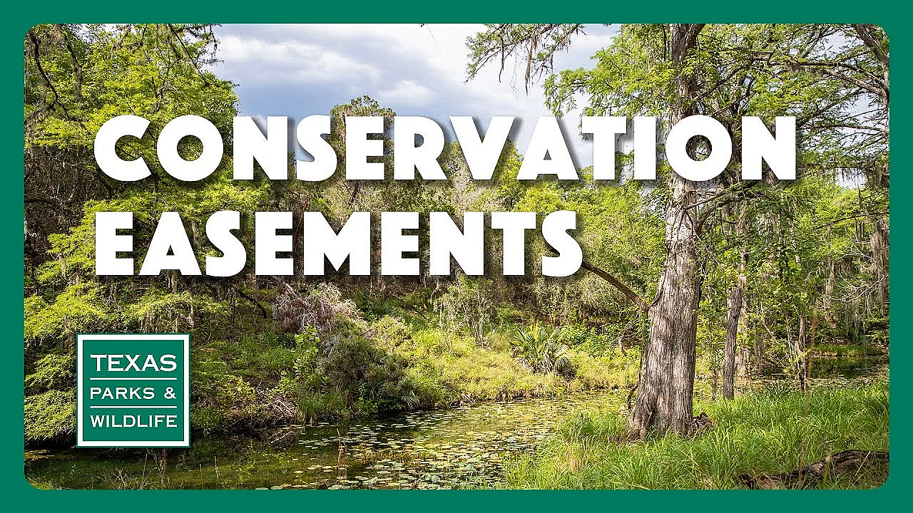Conservation Easements