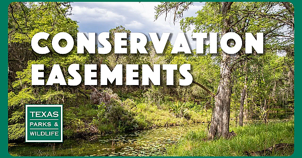 Conservation Easements
