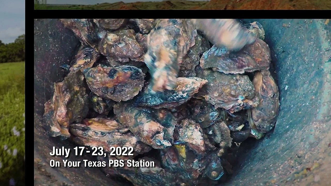 Pbs Preview - Bikepacking Journey, Oyster-farming Fan, Conservation Art