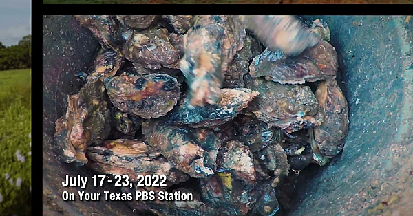 Pbs Preview - Bikepacking Journey, Oyster-farming Fan, Conservation Art