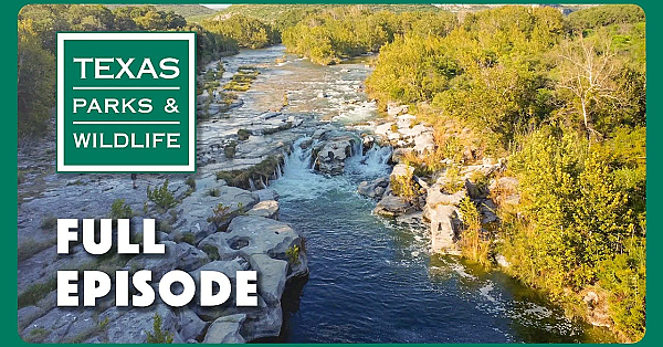 Pbs Show - Protecting Devils, Coastal Classroom &amp; Lake Corpus Christi