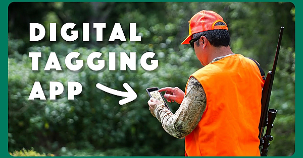 Digital License And Tagging Information