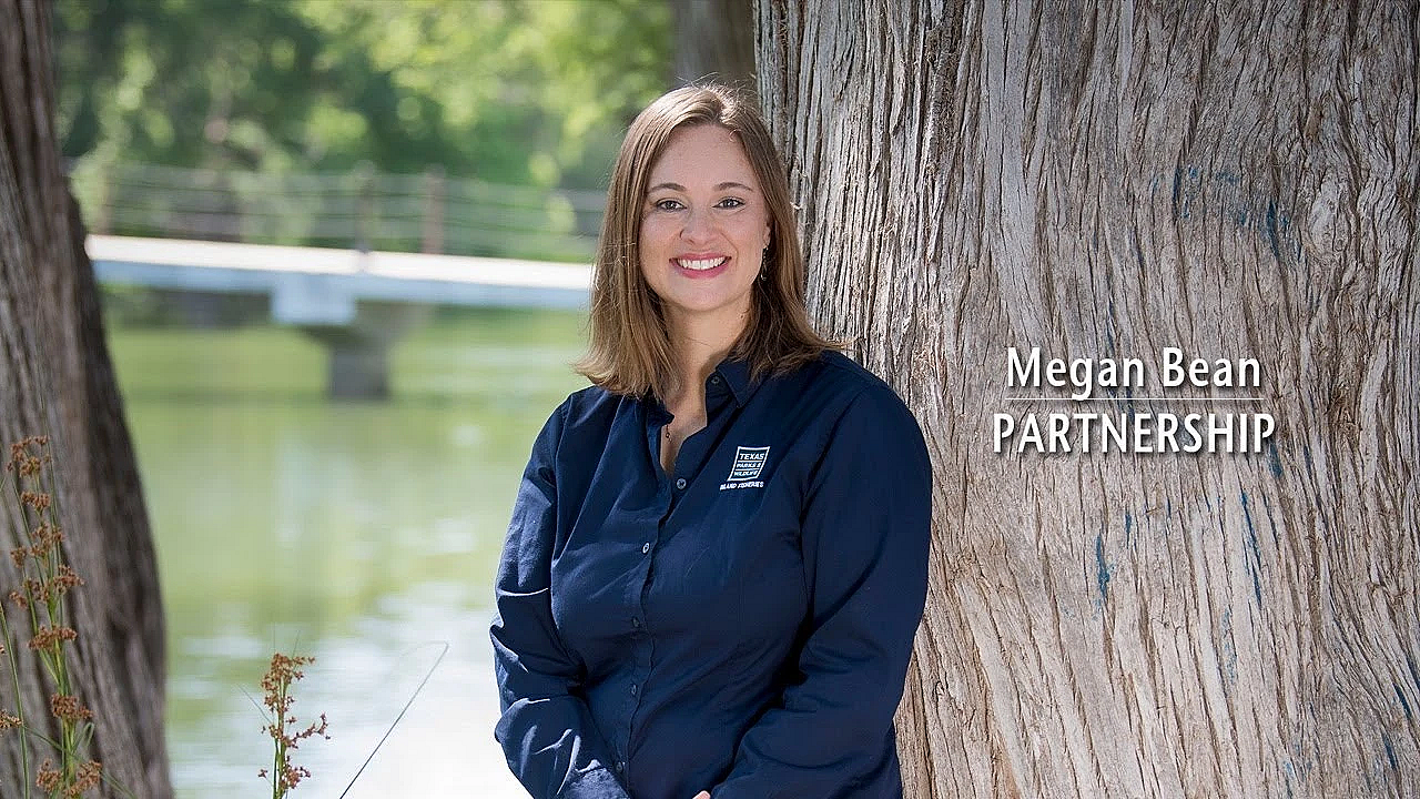 Megan Bean - Partnership