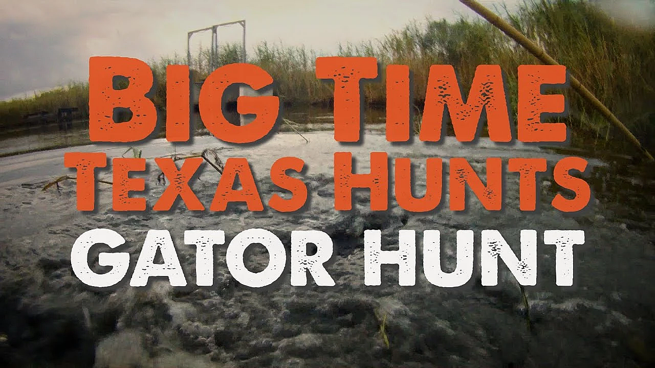 Big Time Texas Hunts: Gator Hunt - Texas Parks And Wildlife [official]