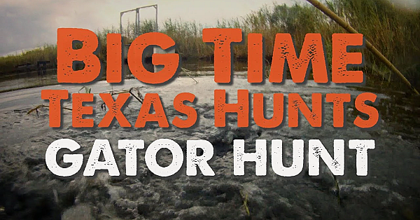 Big Time Texas Hunts: Gator Hunt - Texas Parks And Wildlife [official]