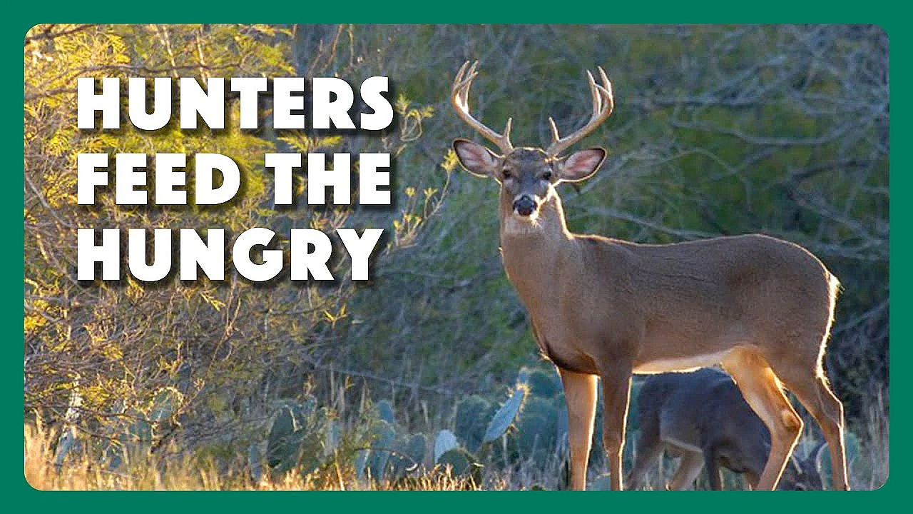 Hunters For The Hungry