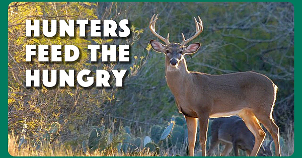 Hunters For The Hungry