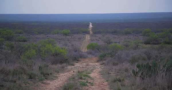2021 Leopold Conservation Award: San Pedro Ranch